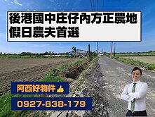 獨賣後港國中庄仔內方正農地