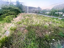 正梅獅路大面寬都內乙工