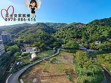 三峽櫻花學🌸鳶山峰景４改３房+平車