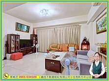 💎史博館旁太子花博別墅