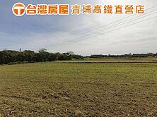 稀有觀音大面寬一般農＋甲建