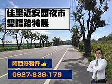 佳里近安西夜市雙臨路特農