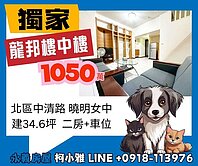 專任#龍邦登峰21#兩房樓中樓+機械車位