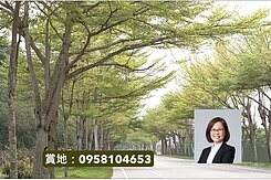 🎈[獨賣]台東熱氣球故鄉休閒建地