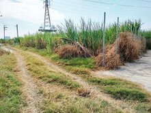 近南科烏橋中路持分一般農地
