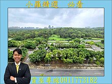 鄰近青埔捷運站❤️鼎宇森林之星，公園首排四房雙平車