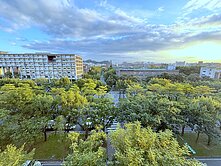 🍎附小金華龍門🍎台大樹海獨棟電梯頂佳★游佳諭