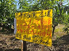 1211◆（專）佳里興百坪大面寬乙建◆