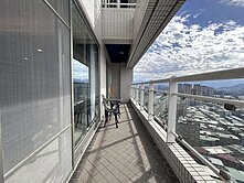 天琴樓中樓．豪華名宅~~