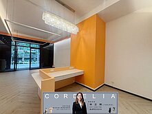 波爾多二黃金店面🐶新店琪琪