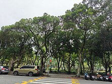 🏆獨家~萬大線捷運未來廈安站~青年新城美三房