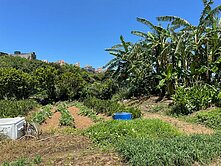 ☀市中心旁都市小農地 自然呼吸間擁有健康H225☀