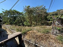 六龜寶來海拔400公尺千坪農地