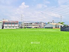 專簽大肚區成功活動中心旁臨活路大面寬超值農地