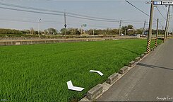 台南官田區台一線309坪農地