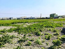 小趙超推~彰化秀水三面路大面寬角地