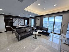 天琴樓中樓豪華名宅+雙車位 