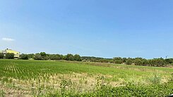 觀音區新坡金湖方正農地-超便宜