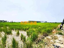 高雄屏東房屋土地 高雄都計農地  高屏成家找展哥