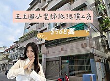 ღ瑋瑋獨家🚩永康五王國小·低總價兩房電梯華廈