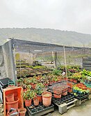 睿暘開發~大鶯路雙面臨路田　　　