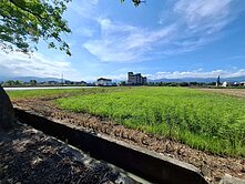 安農溪旁766農地-大面寬/足坪/臨路10米