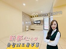 🏡低總價❗️新東區免整理小資三房平車✨
