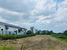 關廟區下湖段4.2分臨路一般農業區