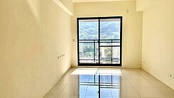 ✨超療癒全新綠景平車華廈✨