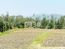 鹿野遠眺視野景觀好優質土地惜售