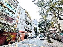 中信韋霖🍎大安森林公園🌳龍安龍門學區大三房🍎