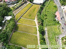 大面寬交流道旁快樂小農地