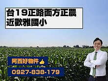 台19二十米大路寬正路面農地
