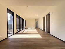 高鐵/豐邑之森採光全新朝南三房/東興國小