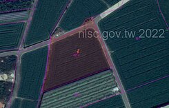 崁頂雙臨路角窗-最超值農地