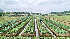 🍎國際路延伸~都計內農地🍎
