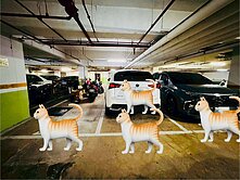 龍科❤️小家庭三房車❤️世紀花園廣場