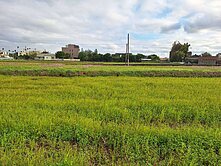 115近大崙國中田+建