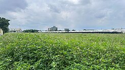 住商珮琦～蘆竹難得大坪數方正農地（適合倉儲物流）