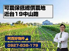 近台17中山路方正農地可農保