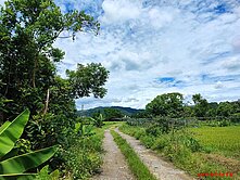 冬山義成農+建地🌱新樂園五結店