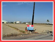 橋頭鹽田【休閒開心農地】