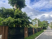 【專】壽豐米棧湧泉農地 B1119