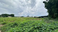 蘆竹青海路交通用地