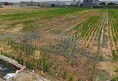 🍎梧棲稀有大塊方正住四建地🏆