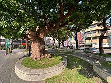 潮州車站💕三角公園旁靜巷💕稀有建地