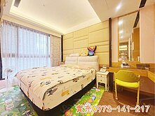 充實築夢🏠-華府DC奢華電梯豪邸5改大4房四車