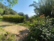 	陽明山國家公園傳家休閒美地