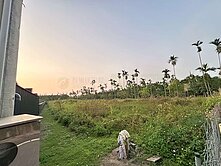 新埤國小有水有電好規劃方正都農/南州交流道7分