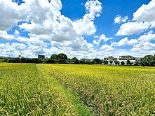 價可談!!!神岡《雙面路方正角地》